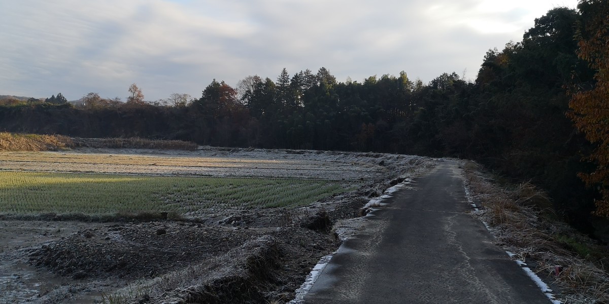 f:id:itotto:20191201084126j:plain f:id:itotto:20191201084126j:plain