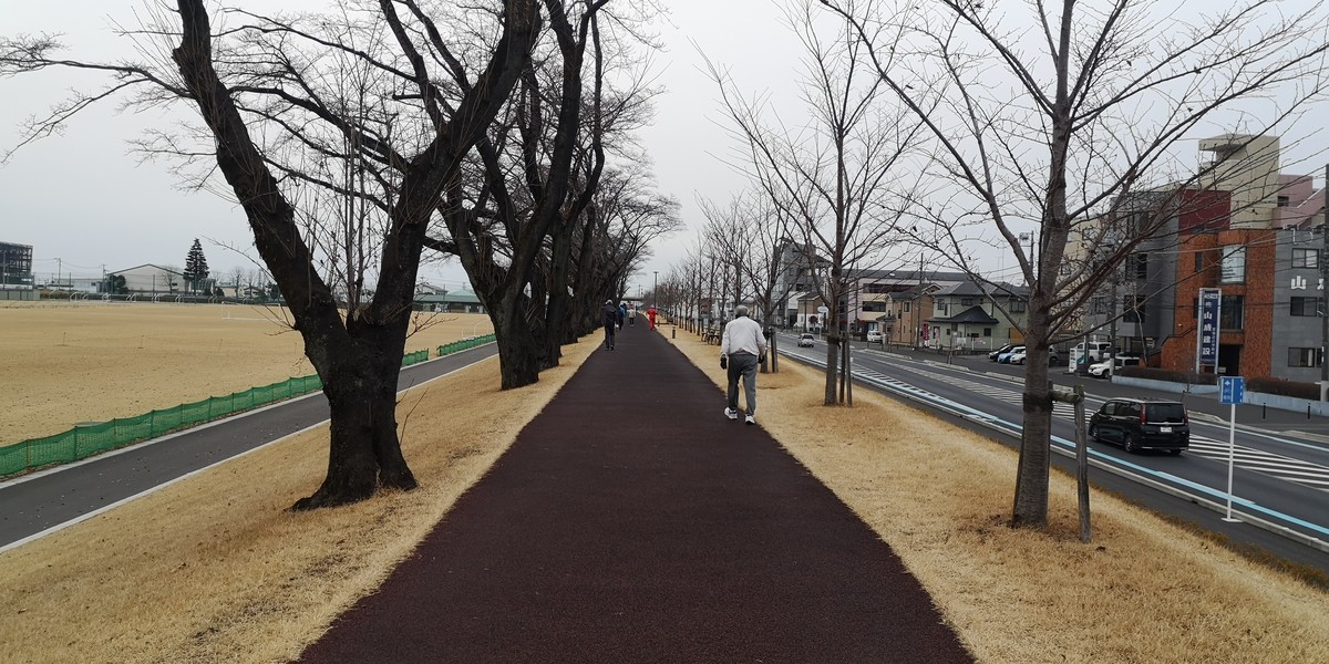 f:id:itotto:20200118154850j:plain