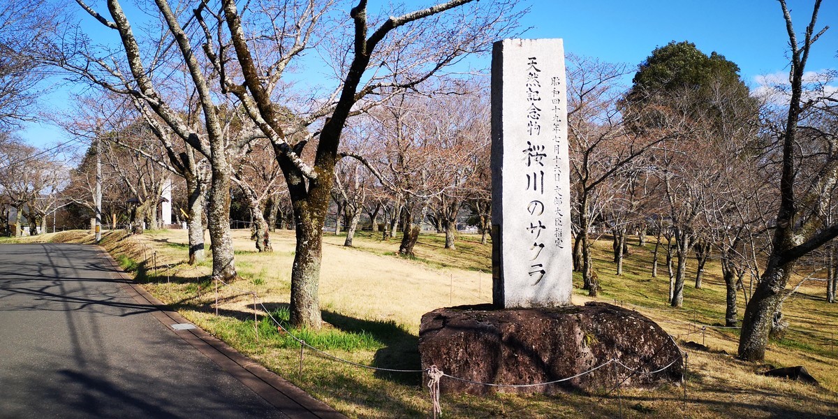 f:id:itotto:20200320150459j:plain