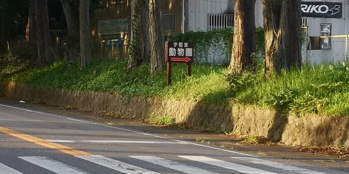 f:id:itotto:20200816173926j:plain f:id:itotto:20200816173926j:plain