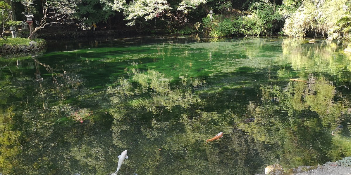 f:id:itotto:20200909143228j:plain f:id:itotto:20200909143228j:plain