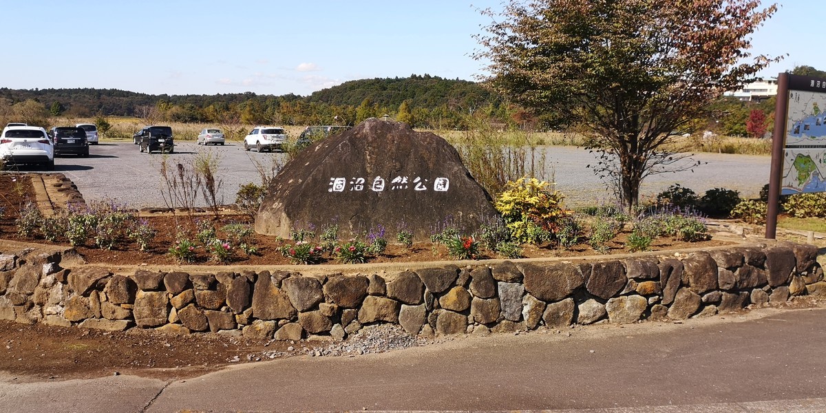 f:id:itotto:20201025113240j:plain