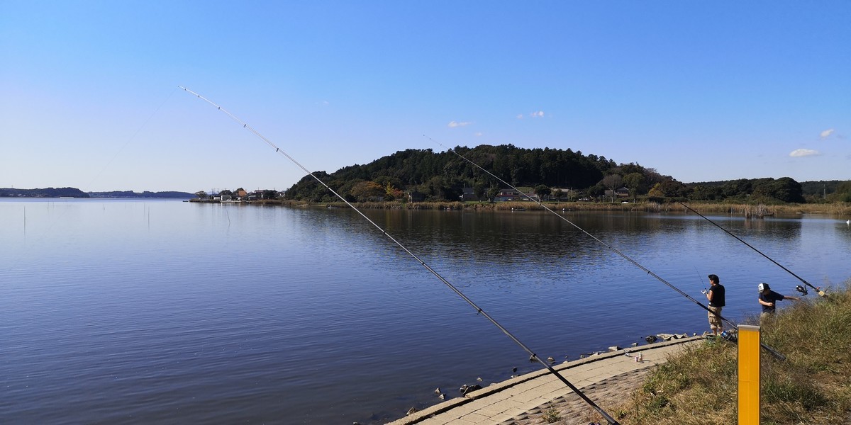 f:id:itotto:20201025113719j:plain f:id:itotto:20201025113719j:plain