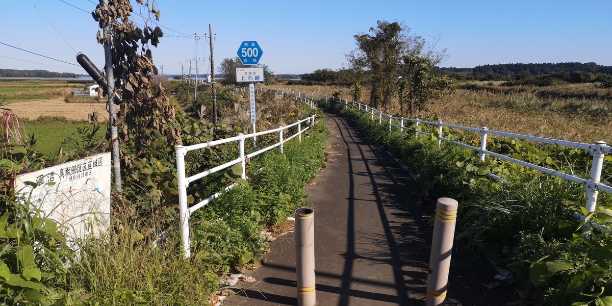 f:id:itotto:20201025133831j:plain