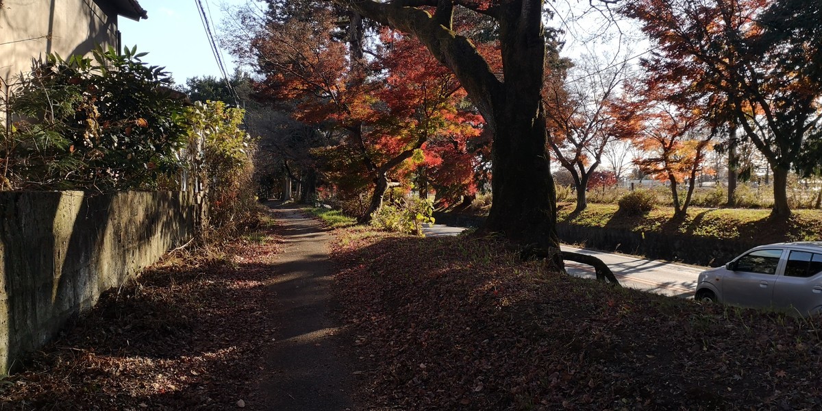 f:id:itotto:20201128135756j:plain