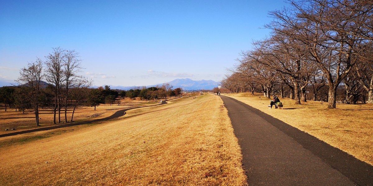 f:id:itotto:20201206141204j:plain