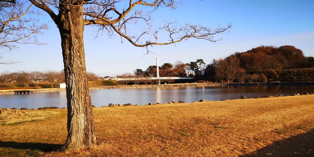 f:id:itotto:20201206145446j:plain