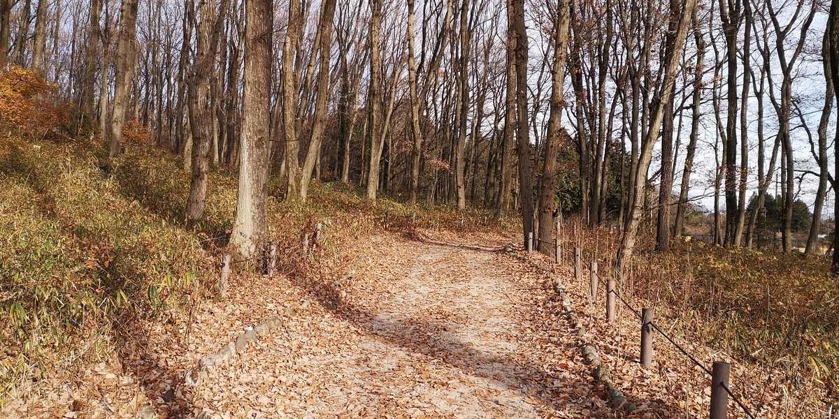 f:id:itotto:20201213140721j:plain