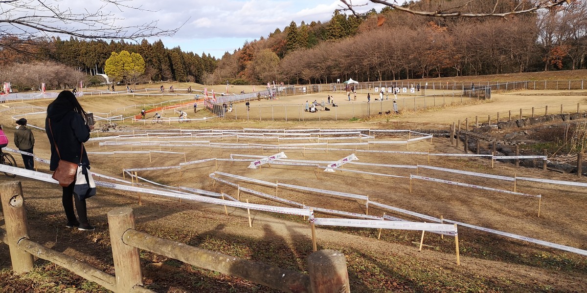 f:id:itotto:20201213142240j:plain