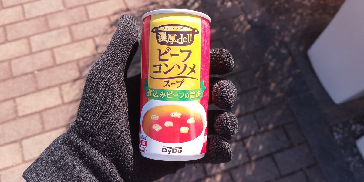 f:id:itotto:20210206115400j:plain