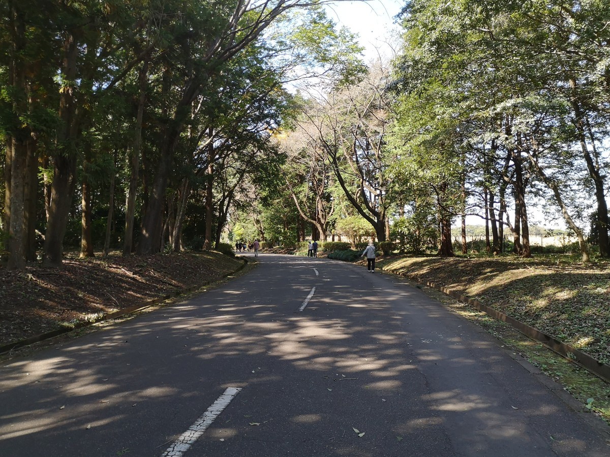 f:id:itotto:20211003121823j:plain