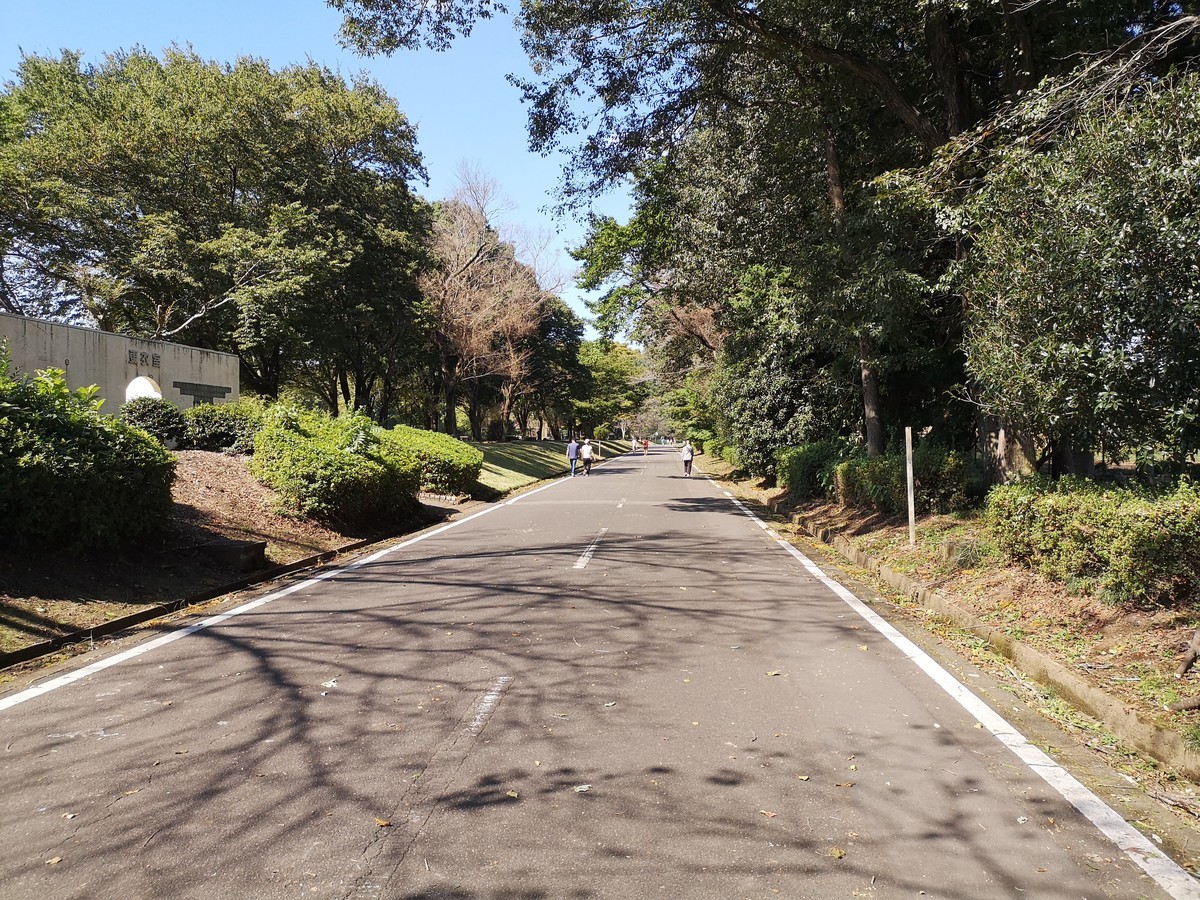 f:id:itotto:20211003122121j:plain