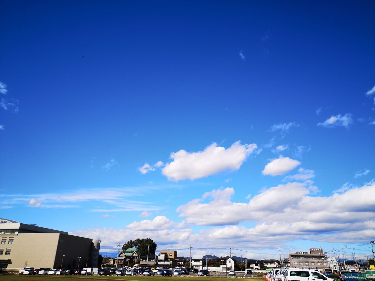 f:id:itotto:20211021115647j:plain