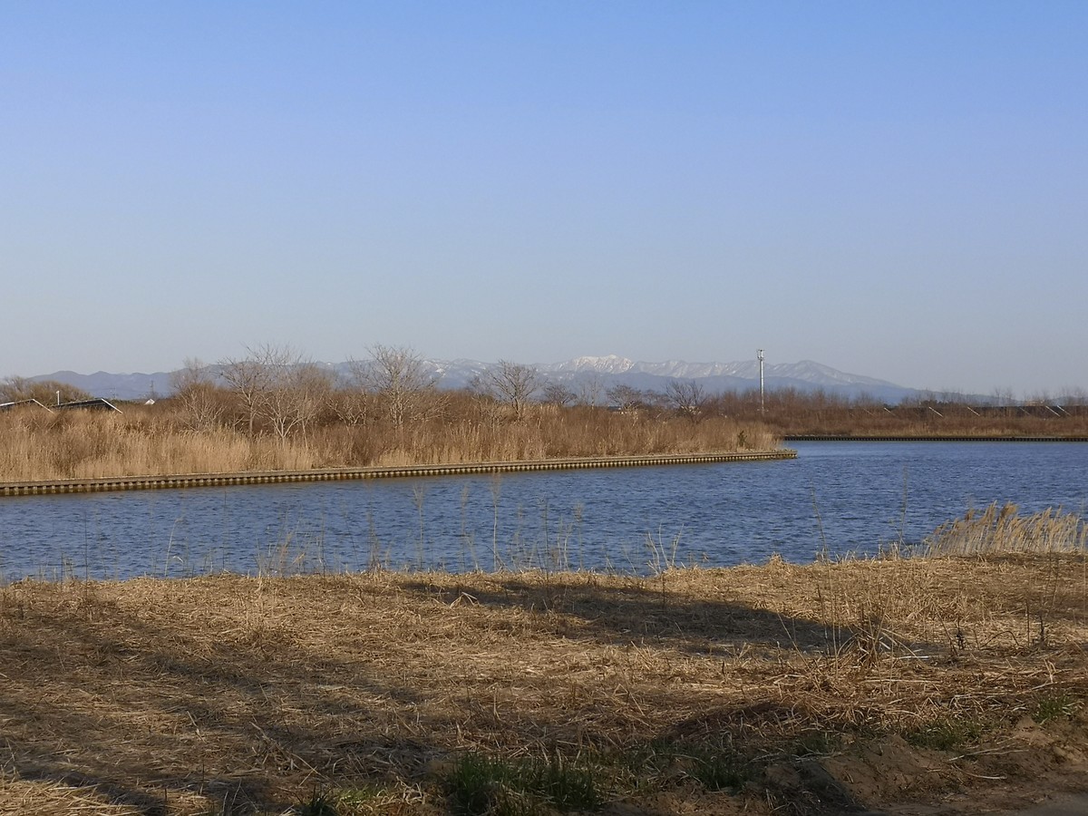 f:id:itotto:20220403160624j:plain