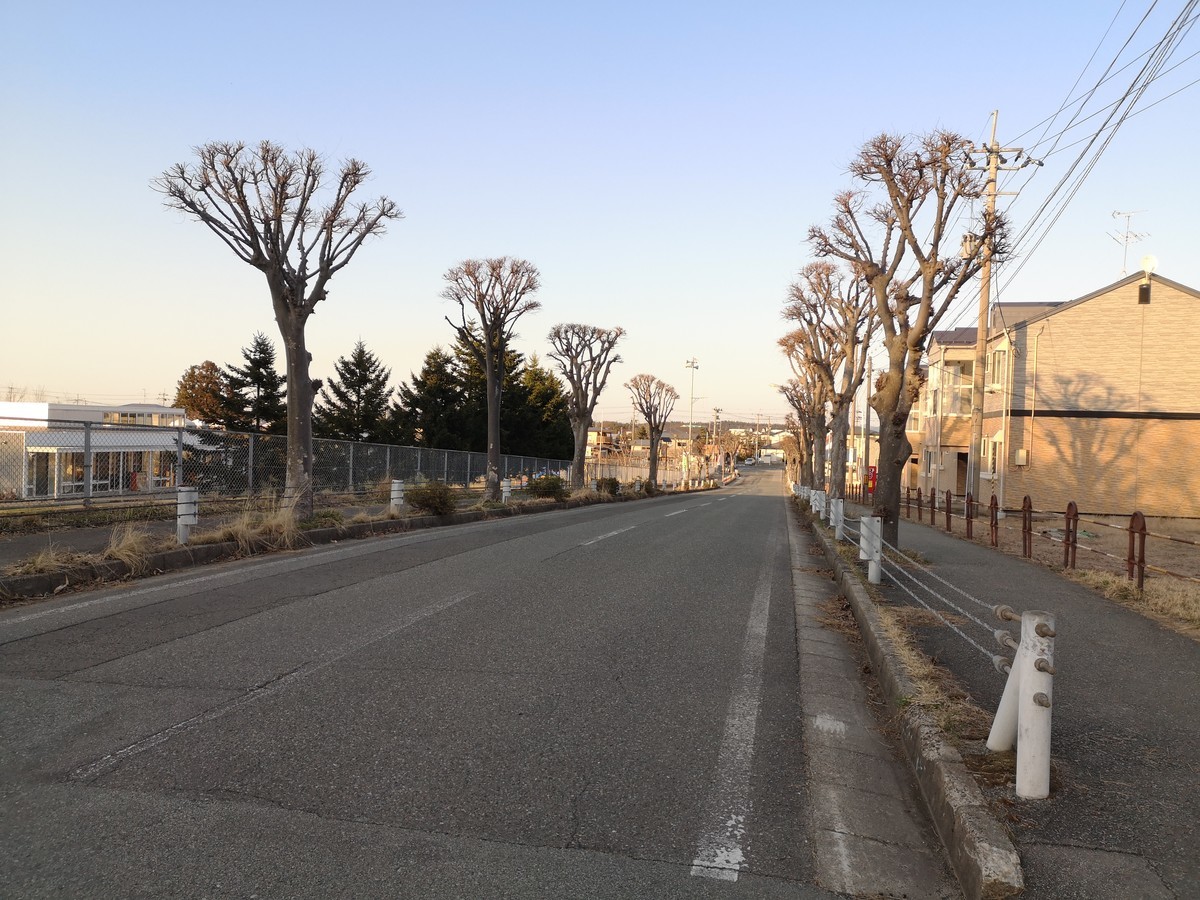 f:id:itotto:20220403171304j:plain