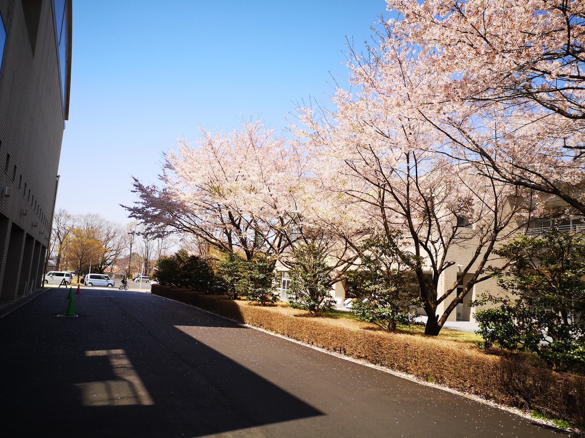 f:id:itotto:20220408111303j:plain