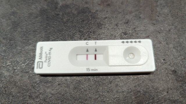 f:id:itotto:20240205213647j:image f:id:itotto:20240205213647j:image