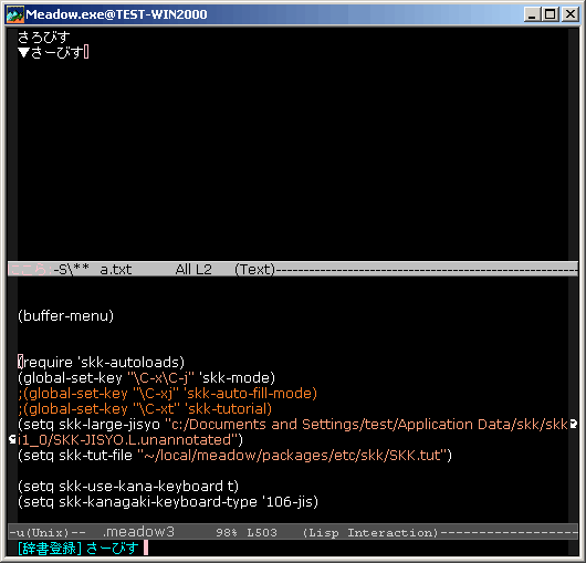 f:id:itouhiro:20080530173002g:image f:id:itouhiro:20080530173002g:image