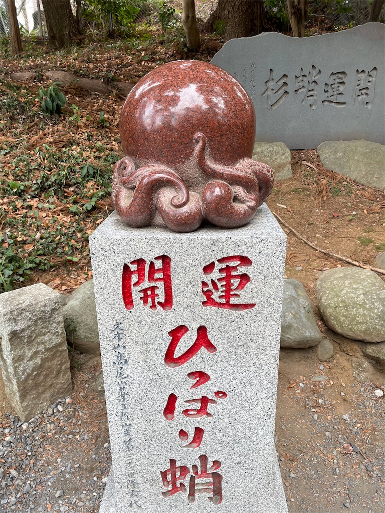 f:id:itow:20220125181944j:image f:id:itow:20220125181944j:image