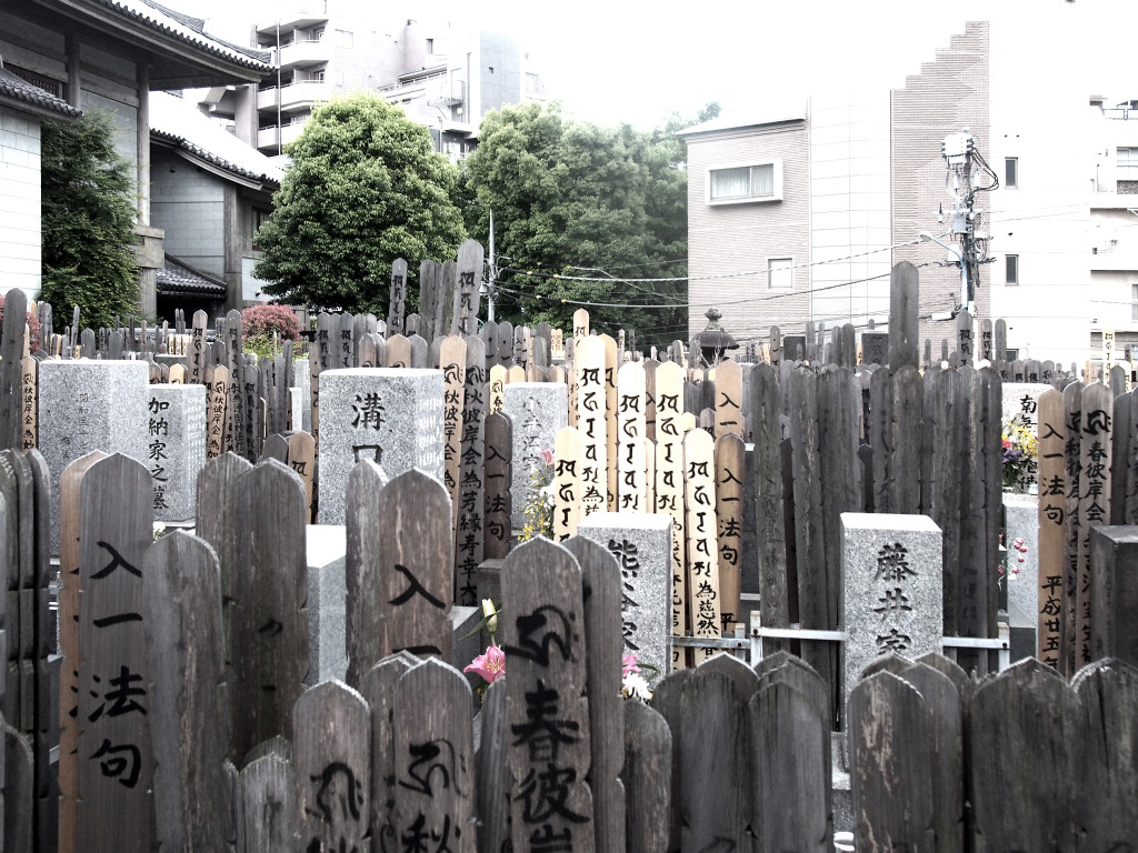 f:id:itozaki:20140506235821j:image