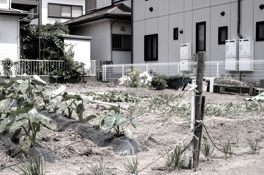 f:id:itozaki:20140627182232j:image