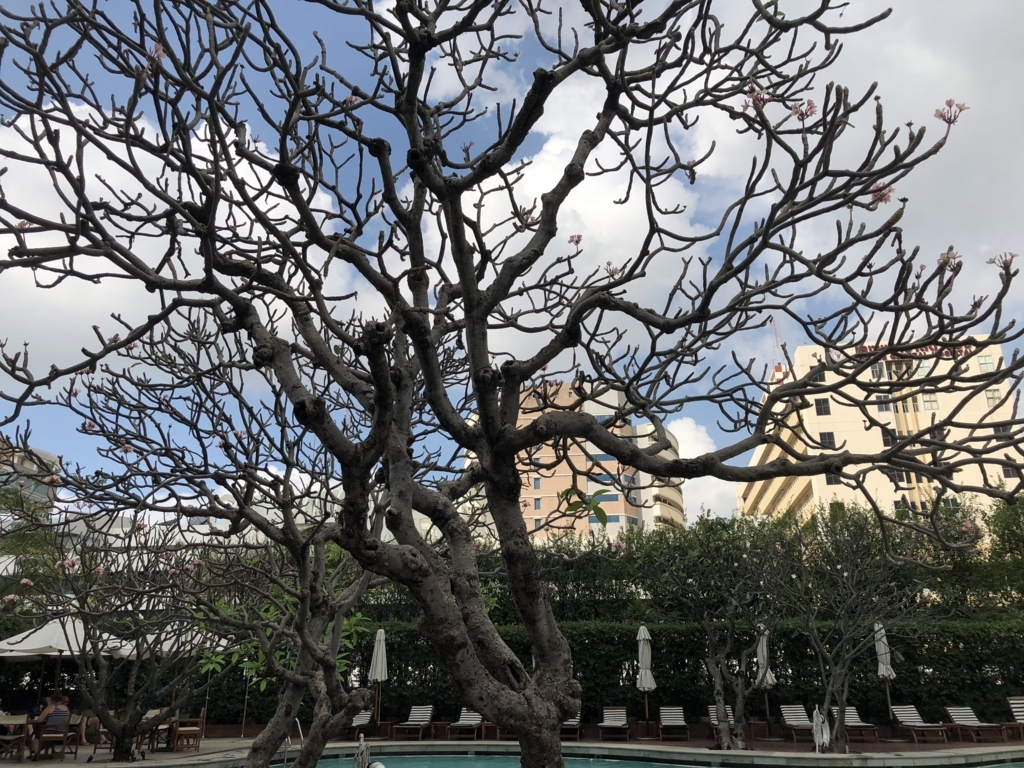 f:id:itraveller:20180318082800j:plain f:id:itraveller:20180318082800j:plain