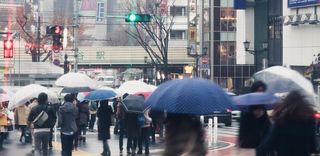 雨