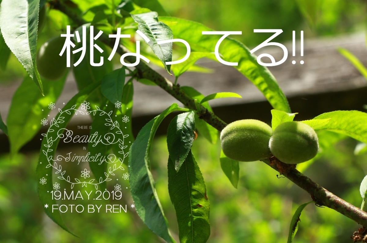 f:id:its-me:20190527121501j:plain