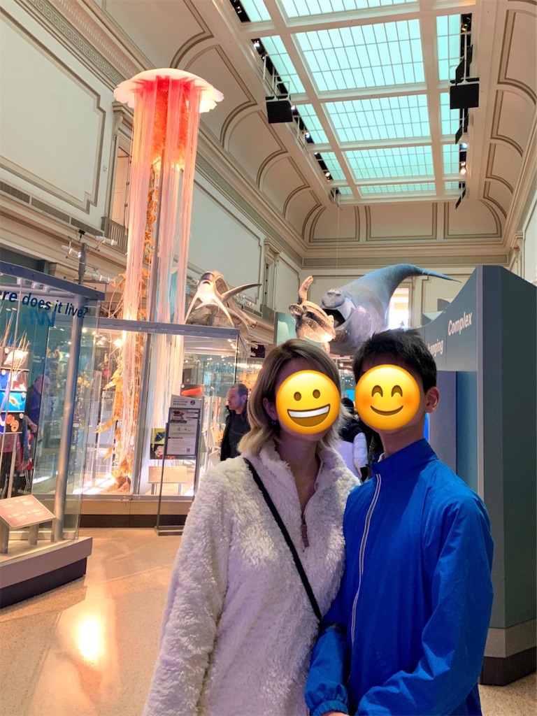 f:id:itsasuka:20200216115001j:image