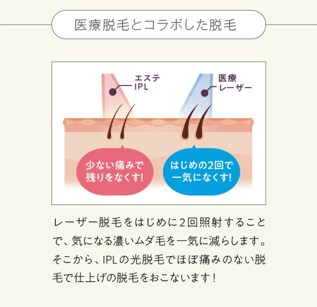 f:id:itsmeyuri17:20220201232048j:image