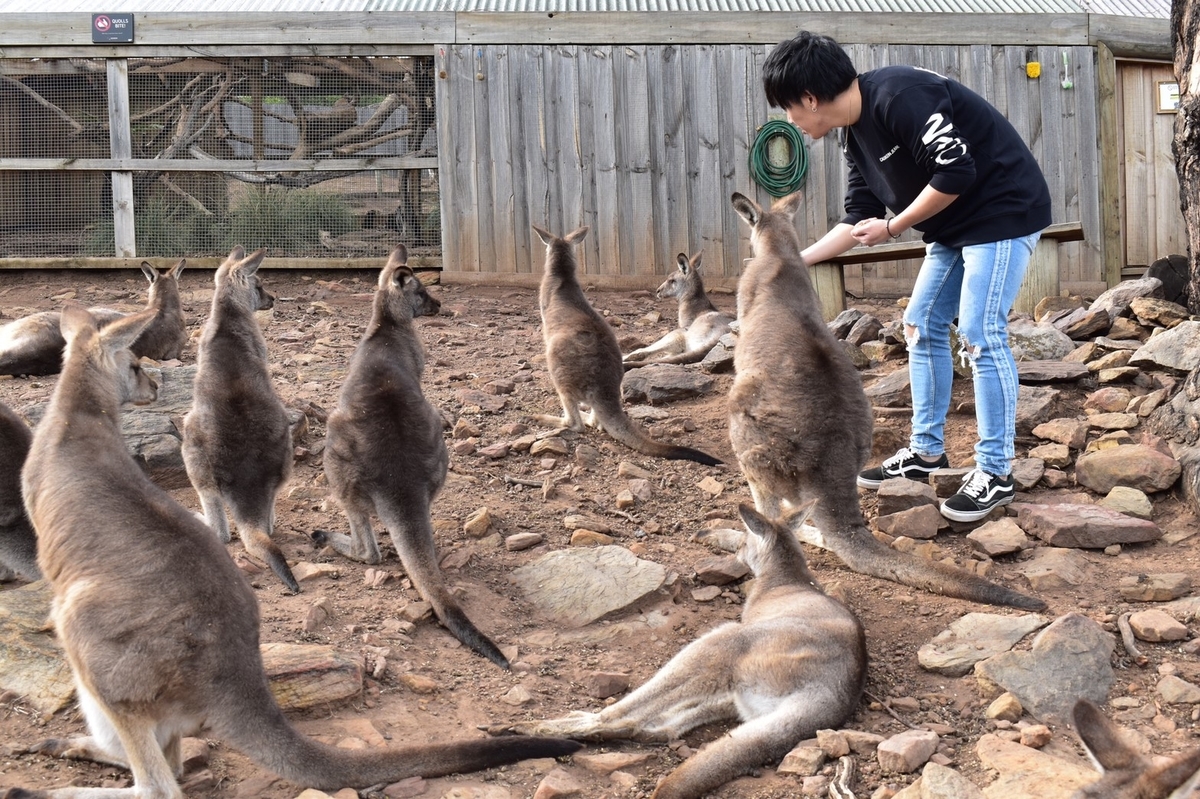 f:id:itstaku:20190608001839j:plain f:id:itstaku:20190608001839j:plain