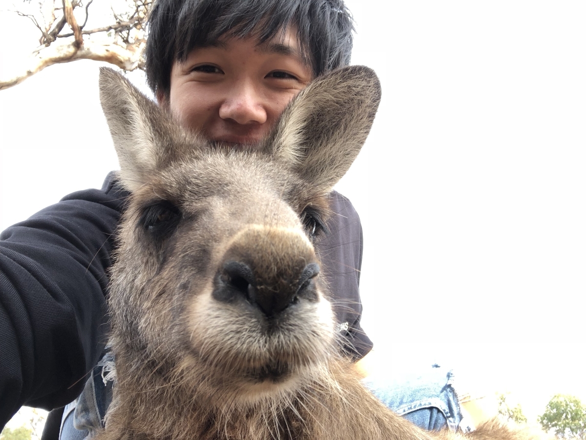 f:id:itstaku:20190608002014j:plain f:id:itstaku:20190608002014j:plain