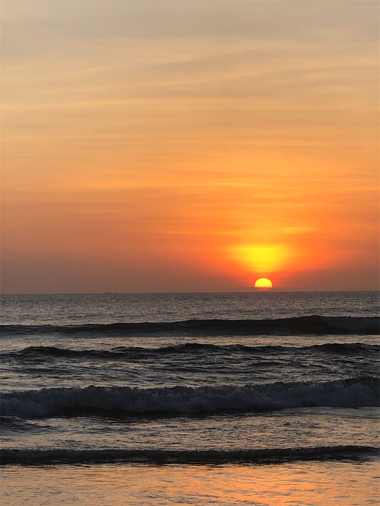 f:id:itsukibali:20200320214615j:image f:id:itsukibali:20200320214615j:image
