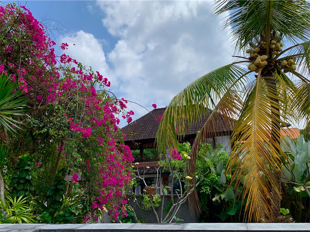 f:id:itsukibali:20200320214725j:image f:id:itsukibali:20200320214725j:image