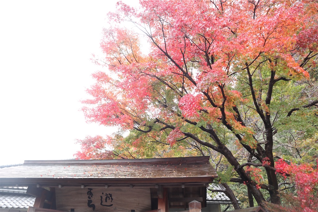 f:id:itsumiusui:20191124211713j:plain f:id:itsumiusui:20191124211713j:plain