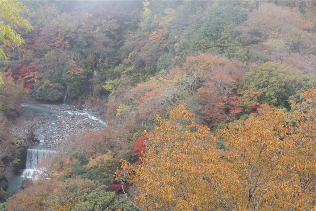 f:id:itsumiusui:20191124211742j:plain f:id:itsumiusui:20191124211742j:plain