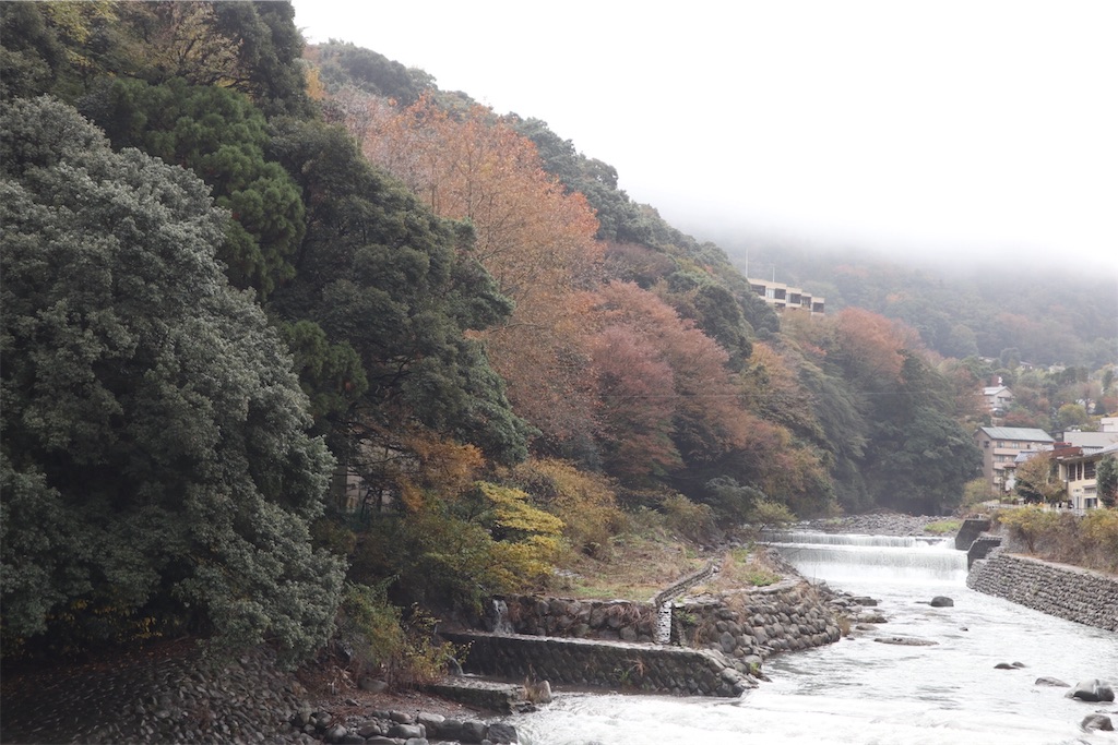 f:id:itsumiusui:20191124211749j:plain f:id:itsumiusui:20191124211749j:plain