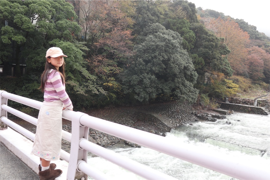 f:id:itsumiusui:20191124211754j:plain f:id:itsumiusui:20191124211754j:plain