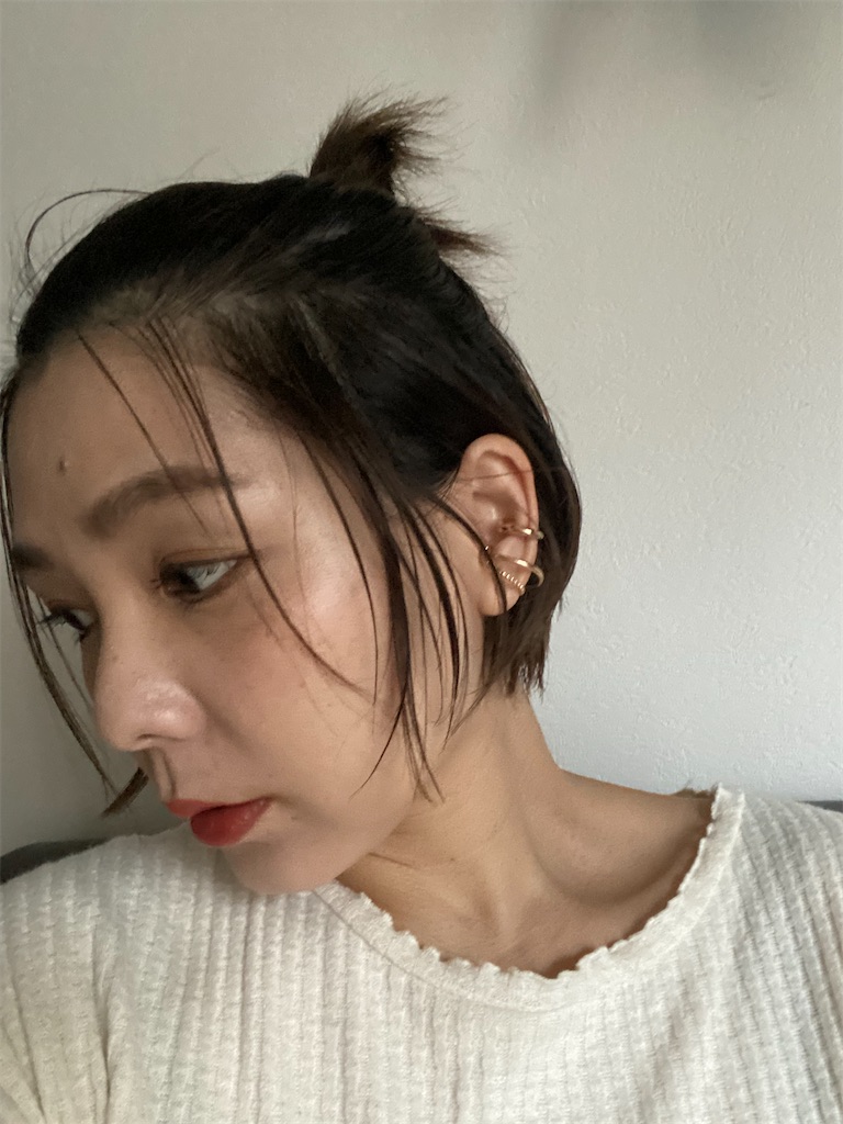 f:id:itsumiusui:20201125144932j:plain