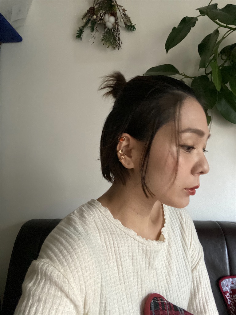 f:id:itsumiusui:20201125144935j:plain