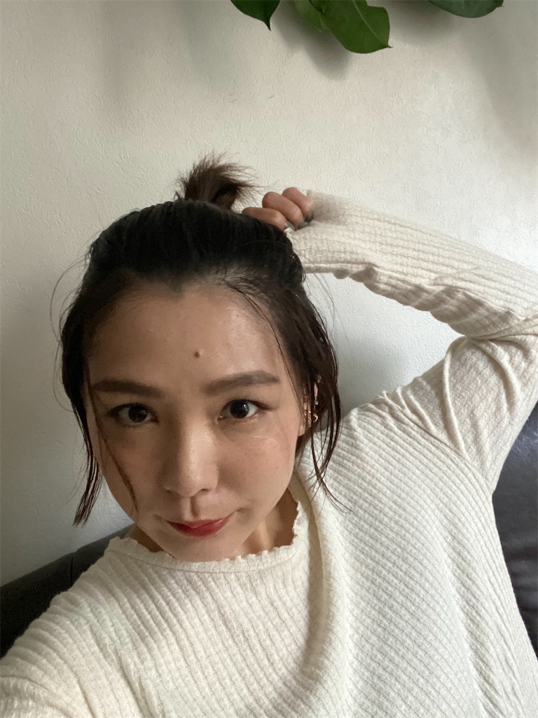 f:id:itsumiusui:20201125144940j:plain