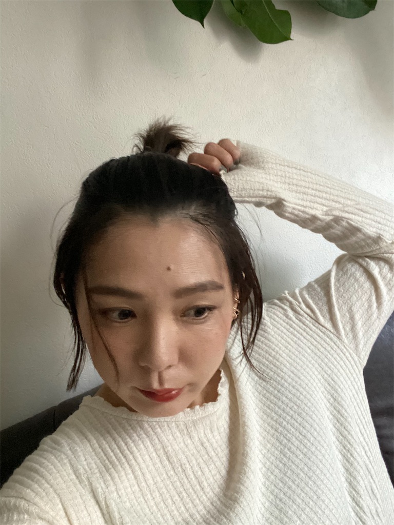f:id:itsumiusui:20201125144947j:plain