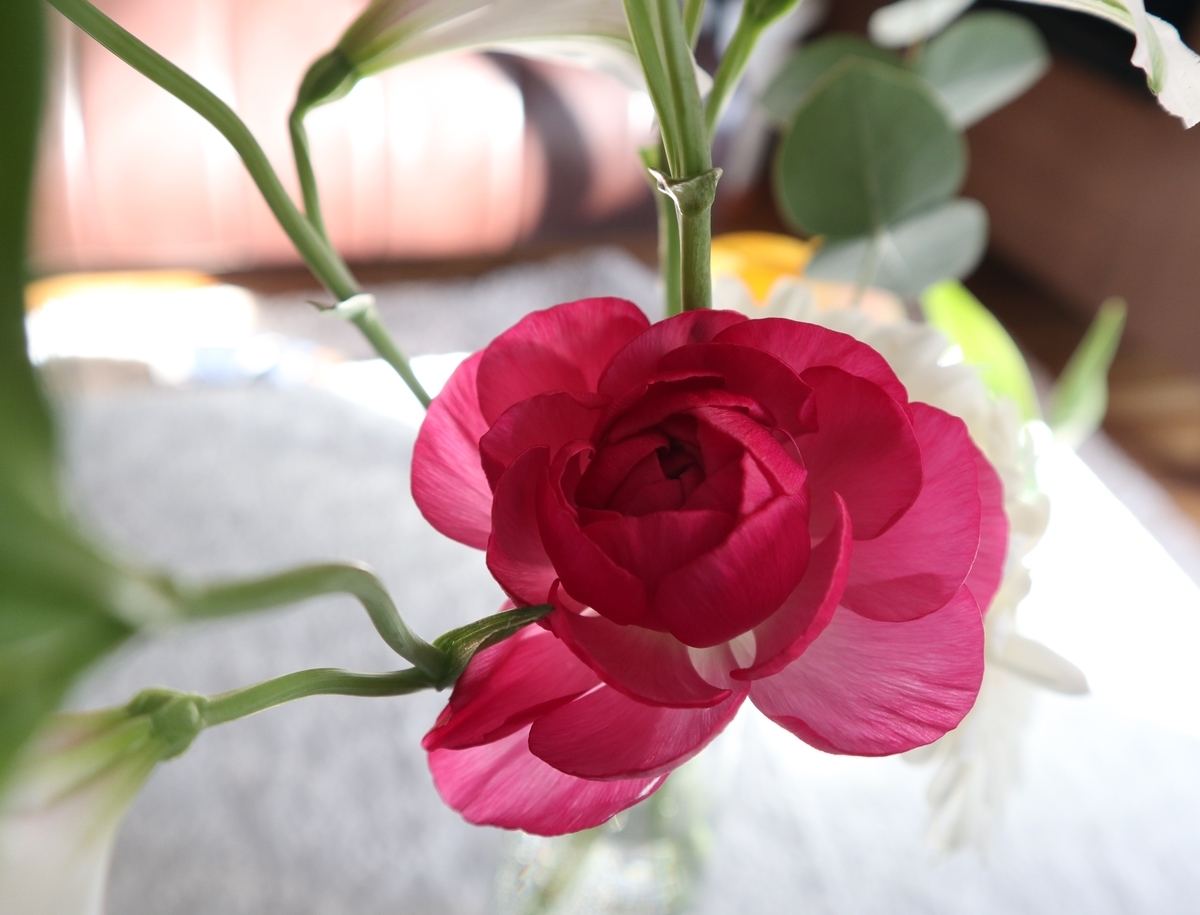 f:id:itsumiusui:20210216214753j:plain