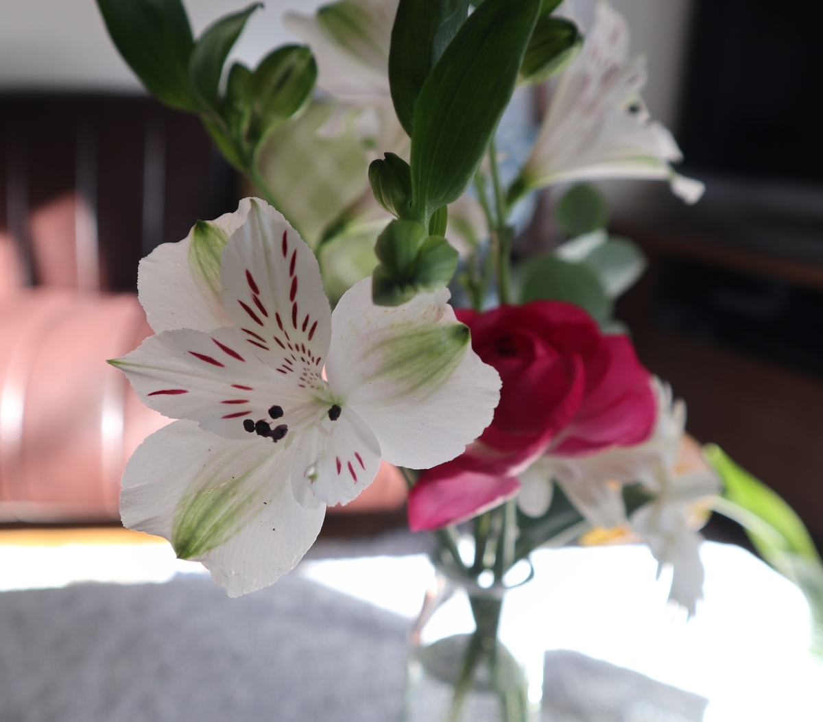 f:id:itsumiusui:20210216215104j:plain