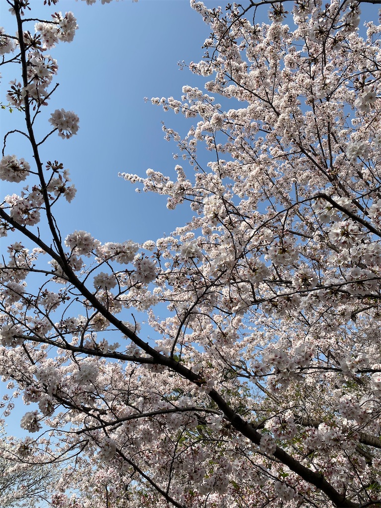 f:id:itsumiusui:20210401225933j:plain