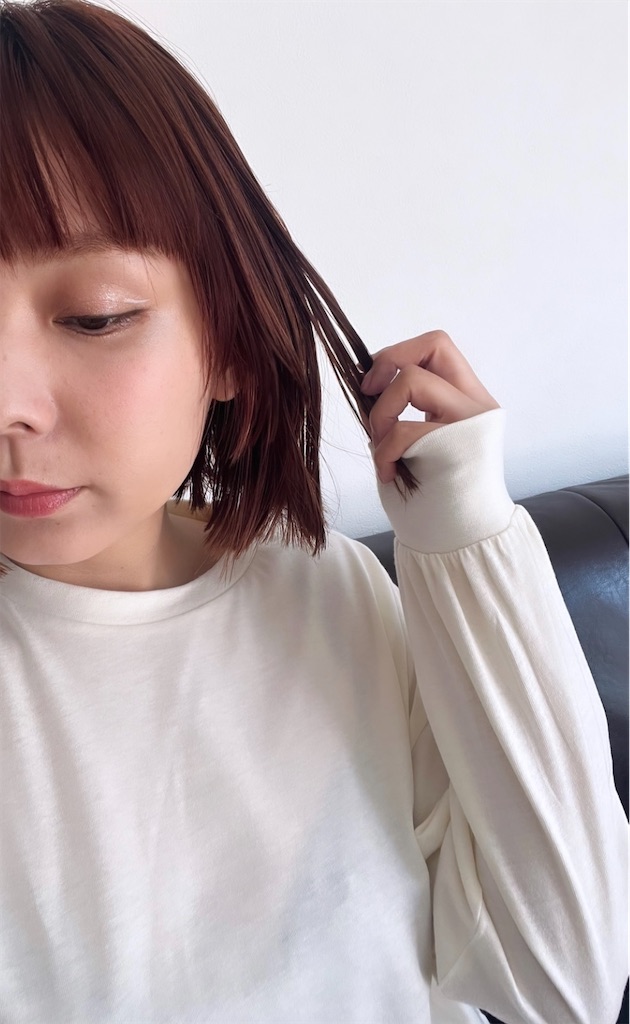 f:id:itsumiusui:20220601235918j:image