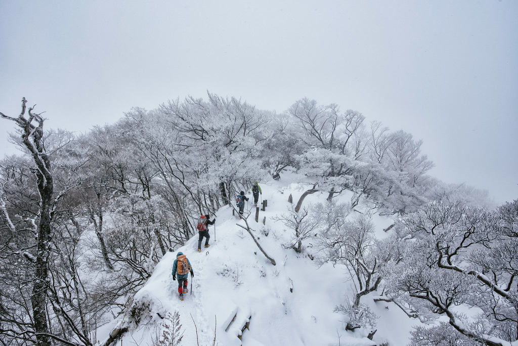 f:id:itsutsuki:20190122182205j:plain