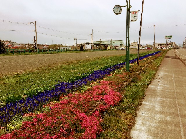 f:id:itsutsuki:20190407142947j:image
