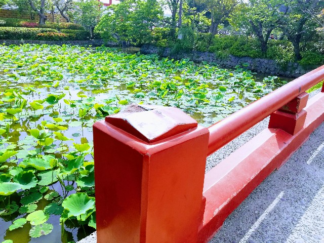 f:id:itsutsuki:20190528093538j:image