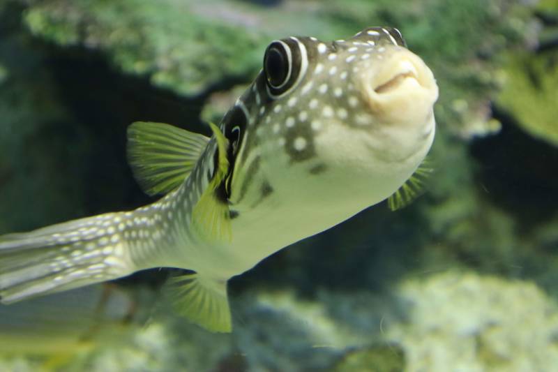 f:id:itsuwalove777:20190215155238j:plain